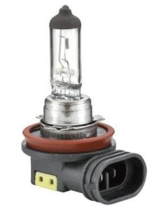 H8 Bulb Globe