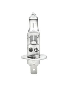 HELLA BULB STD H1 12V 55W P14.5S